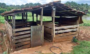 Imagem 3: Chacara/9.000mt caturai/casa e represa,rego /fogão caipira/pomar/gramada/38km Goiânia
