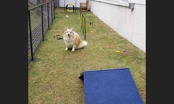 Imagem 6: Apartamento para venda com 127 metros quadrados com 4 quartos em Jardim Caboré - São Paulo