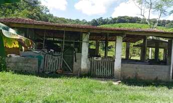 Imagem 6: Sítio em Juquiá