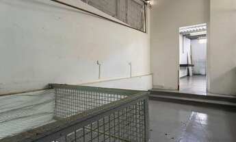 Imagem 2: Casa para aluguel e venda possui 331 metros quadrados com 1 quarto em Vila Mariana - São P