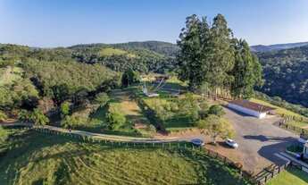 Imagem 6: Campo Largo, 52 alqueires / Confinamento Gado/ Haras