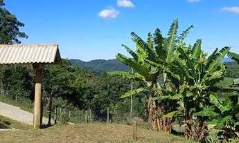 Imagem 3: Sitio Chácara 2558m2 Barro branco São Pedro de Alcântara