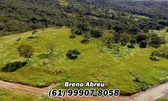 Imagem: Chácaras 20.000 metros