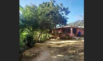 Imagem 5: Sítio Chácara com venda por R$70.000