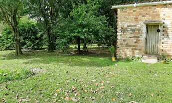 Imagem 4: Lindo Terrenão de 5000 m : com ônibus na porta