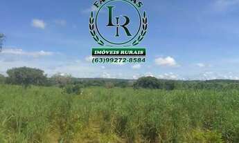 Imagem 6: Fazenda 38,5 Alqueires Alqueires