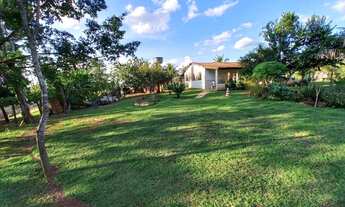 Imagem 5: Vendo excente chácara na Ponte Alta Sul com 4 hectares, 40.000m²!!!