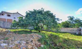 Imagem 7: Vendas Terreno Curitiba PR