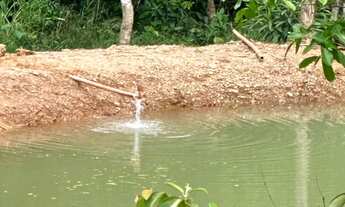 Imagem: Agio Chácara 01 Alqueire- OPORTUNIDADE