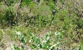 Imagem: Terreno na região de Taquaraçu de minas