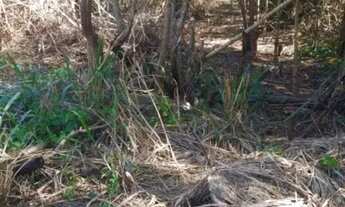 Imagem 4: Terreno à venda, 1000 m² por R$ 350.000,00 - Marina - Armação dos Búzios/RJ