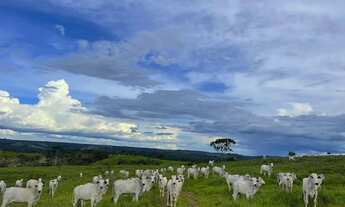 Imagem 2: Fazenda a venda em Campo Alegre de Goias