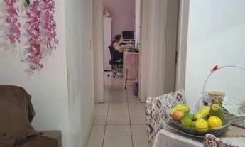 Imagem 3: Fit Coqueiro 2 Apartamento com 2 dormitórios