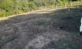 Imagem 7: Chácara em Mandirituba