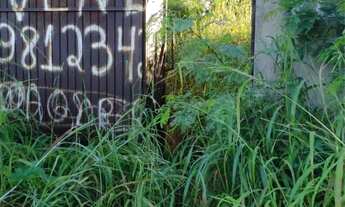 Imagem 2: Vendo lote no solar das Paineiras