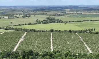 Imagem 3: FAZENDA CAFÉ - 2 ALQ