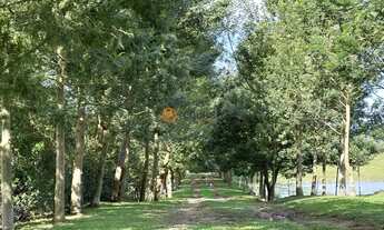 Imagem 3: 1293289 - Lindo Sítio de 17,2 ha no Cerrito a 8 kms da cidade