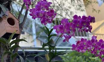 Imagem 4: Kitnet com tudo incluso