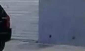 Imagem: Galpão para aluguel tem 320 metros quadrados