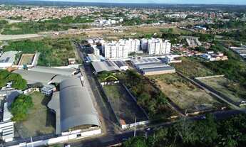 Imagem 3: Terreno à Venda no Recanto das Palmeiras Localização Privilegiada na Zona Sudeste de Tere