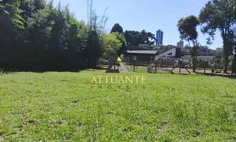 Imagem 3: TERRENO - Bairro Salgado Filho