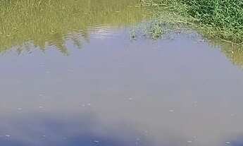 Imagem 10: Sítio a venda na região de São pedro sp