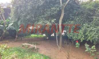 Imagem 7: Terreno em Pirituba