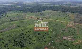 Imagem 2: Fazenda 2000 Hectares Jaiba - MG