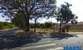 Imagem 8: TERRENO - Vila Nova - SP