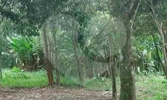 Imagem 7: Sítio com 4 quartos à venda em Rio Do Ouro - RJ