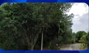 Imagem: LOTE - ESTRADA MUNICIPAL PSB 435, ÁREA