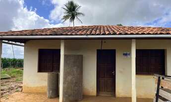 Imagem 3: Casa e terreno de 5,5 tarefas no Mulungu da Lagoa Preta