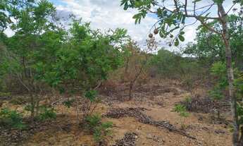 Imagem: Chácara 1000 m², excelente oportunidade