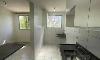 Imagem 7: Apartamento para alugar no Jardim Nova Europa em Campinas/SP