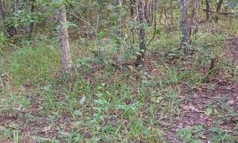 Imagem 4: Chácaras de 3mil mt com córrego nao perca essa oportunidade!