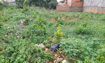 Imagem 3: Lote plano rua João Mendonça Vila Sion