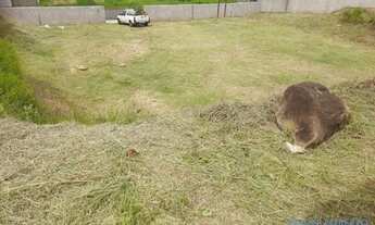 Imagem 3: TERRENO - PARQUE DOS COCAIS - SP