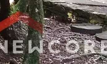 Imagem 3: Casa em Rua Jaguatirica (rua 6) - Alpes - São Francisco de Paula/RS