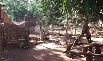 Imagem 5: Vendo mimi chácara em Corguinho