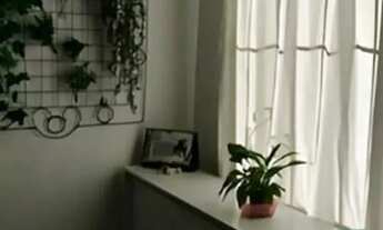 Imagem 3: Apartamento em Jardim do Salso