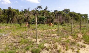 Imagem 11: Terreno vista deslumbrante no Marina Búzios