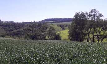 Imagem 3: Vende-se Fazenda Região de Ribeirão Claro e Carlópolis PR