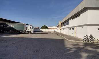 Imagem 2: Galpão/Depósito/Armazém para aluguel tem 880 metros quadrados em Parque Ipê - Feira de San