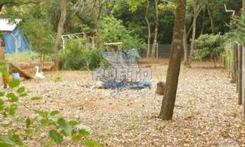 Imagem 6: JD. COLONIAL- piscina- área de 3000 m²