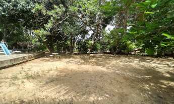 Imagem 6: Sitio a venda com boa estrutura a 18 km de Teresina, na margem da Pi-112 com 8 hectares!