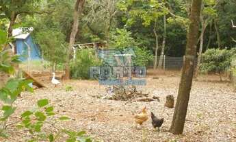 Imagem 4: JD. COLONIAL- piscina- área de 3000 m²