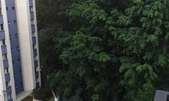 Imagem 3: Corinto / 2 dormit/ Vila Indiana/ a 200 metros portão USP