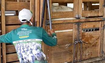 Imagem 6: Vendo linda fazenda titulada porteira fechada em juruti - pa (nova