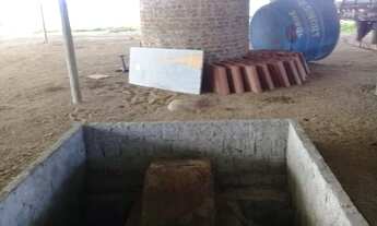 Imagem 7: Fabicação de tijolos