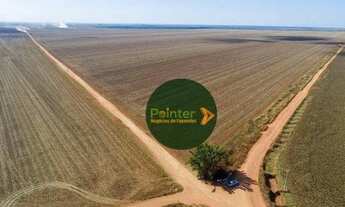 Imagem: Fazenda com 2 dormitórios à venda, 50000